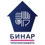 Бинар